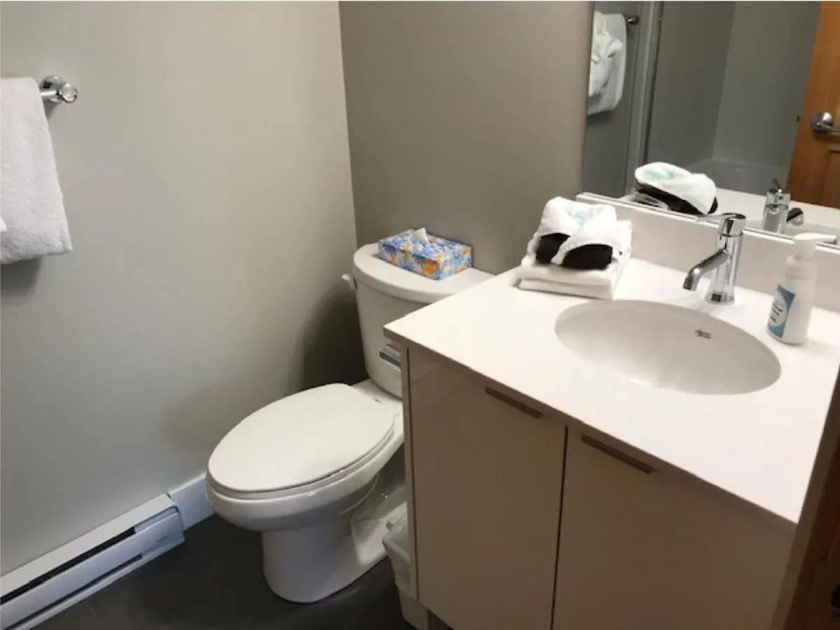 Twin Peaks Resort Whistler Apartment